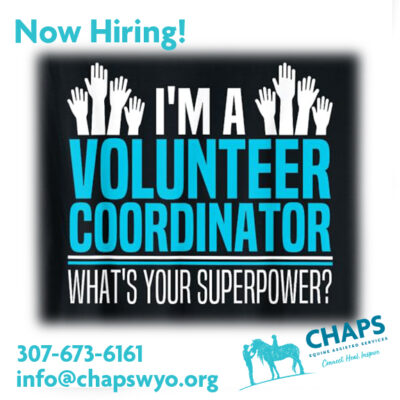Volunteer coordinator copy